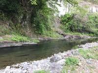 秩父フライフィールド 釣果