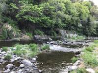 秩父フライフィールド 釣果