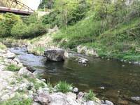 秩父フライフィールド 釣果