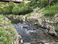 秩父フライフィールド 釣果