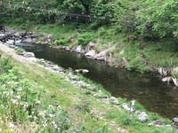 秩父フライフィールド 釣果