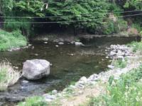 秩父フライフィールド 釣果