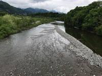 秩父フライフィールド 釣果