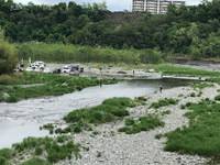 秩父フライフィールド 釣果