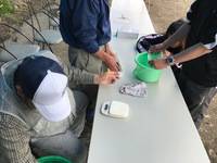 秩父フライフィールド 釣果