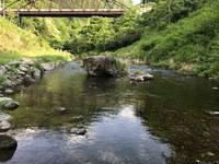 秩父フライフィールド 釣果