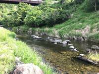 秩父フライフィールド 釣果