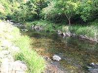 秩父フライフィールド 釣果