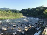 秩父フライフィールド 釣果