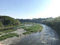 秩父フライフィールド 釣果