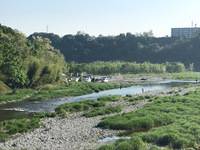 秩父フライフィールド 釣果