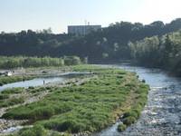 秩父フライフィールド 釣果