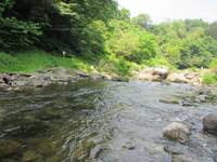 秩父フライフィールド 釣果