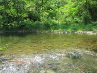 秩父フライフィールド 釣果