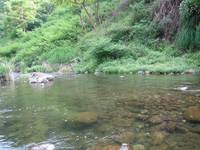 秩父フライフィールド 釣果