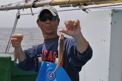 根岸丸 釣果