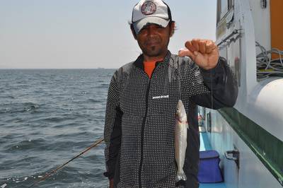 根岸丸 釣果