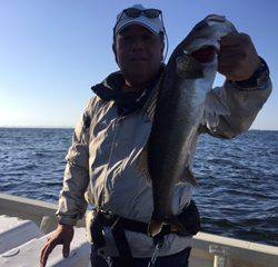 Ｒｕｓｈ（ラッシュ） 釣果