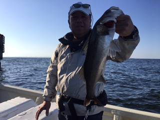 Ｒｕｓｈ（ラッシュ） 釣果