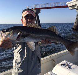 Ｒｕｓｈ（ラッシュ） 釣果