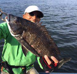 Ｒｕｓｈ（ラッシュ） 釣果