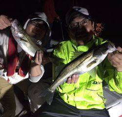 Ｒｕｓｈ（ラッシュ） 釣果