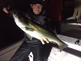 Ｒｕｓｈ（ラッシュ） 釣果