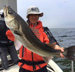 Ｒｕｓｈ（ラッシュ） 釣果