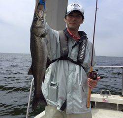 Ｒｕｓｈ（ラッシュ） 釣果