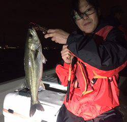 Ｒｕｓｈ（ラッシュ） 釣果