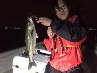 Ｒｕｓｈ（ラッシュ） 釣果