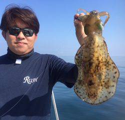 Ｒｕｓｈ（ラッシュ） 釣果