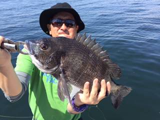 Ｒｕｓｈ（ラッシュ） 釣果