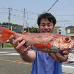 かねい丸 釣果