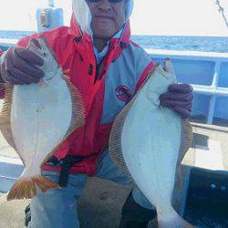 小樽港遊漁船SHAKE 釣果