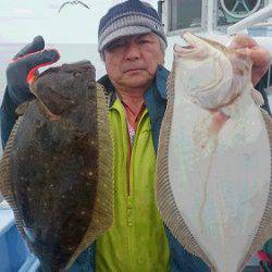 小樽港遊漁船SHAKE 釣果