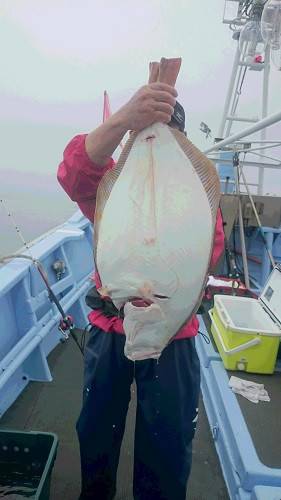 小樽港遊漁船ＳＨＡＫＥ 釣果