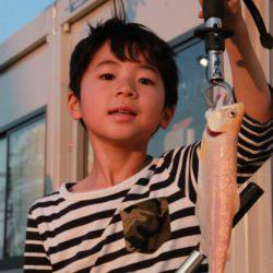 としまえんフィッシングエリア 釣果