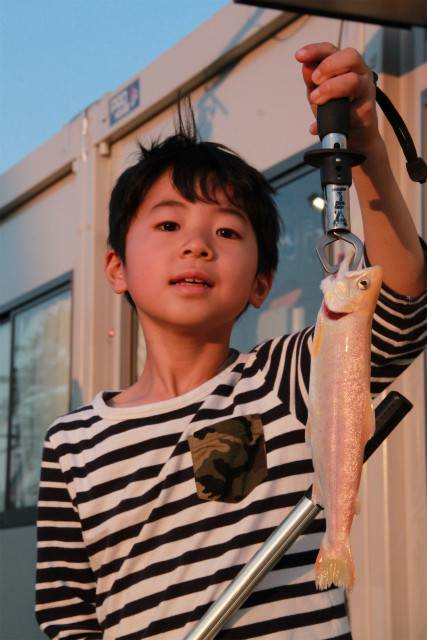 としまえんフィッシングエリア 釣果