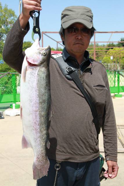 としまえんフィッシングエリア 釣果