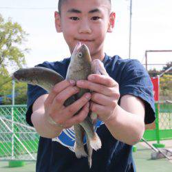 としまえんフィッシングエリア 釣果