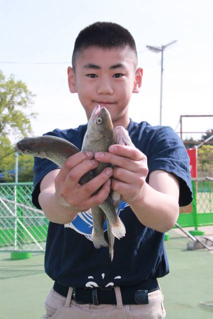 としまえんフィッシングエリア 釣果