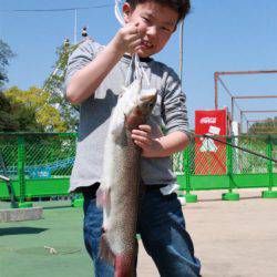としまえんフィッシングエリア 釣果