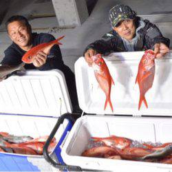 渡船屋たにぐち 釣果
