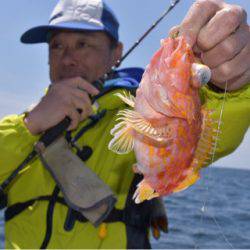 渡船屋たにぐち 釣果