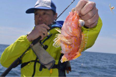 渡船屋たにぐち 釣果