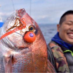 渡船屋たにぐち 釣果