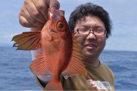 渡船屋たにぐち 釣果