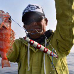 渡船屋たにぐち 釣果