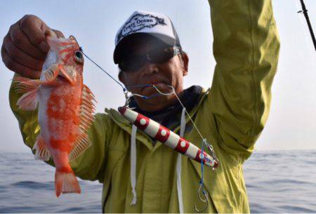 渡船屋たにぐち 釣果